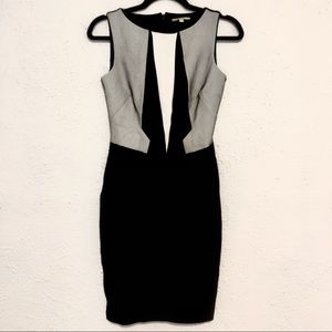 Black & White Professional Sheath Dress